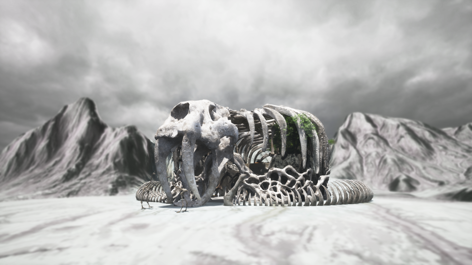 The museum of 6th extinction
